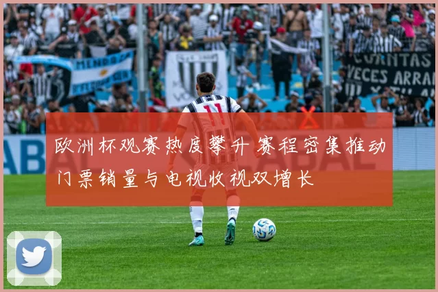 欧洲杯观赛热度攀升 赛程密集推动门票销量与电视收视双增长