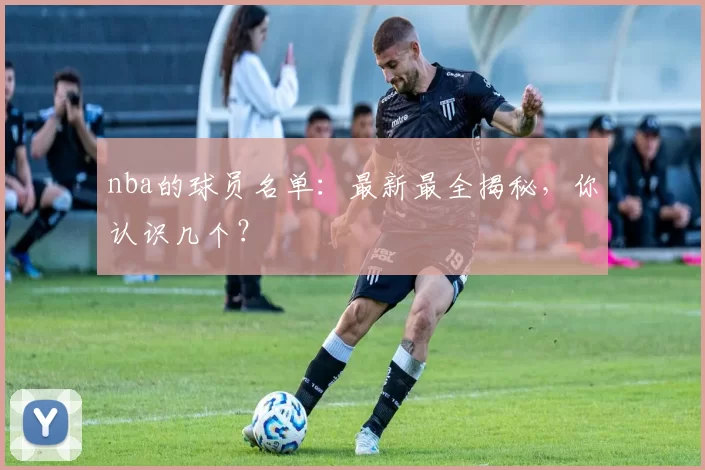 nba的球员名单：最新最全揭秘，你认识几个？